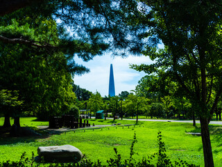 올림픽 공원에서 보이는 롯데 타워