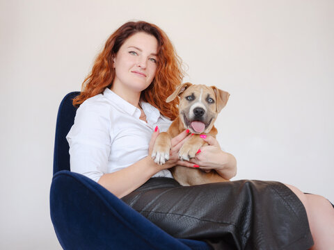 beautiful redhead woman with Cute puppy American Staffordshire Terrier posing in studio. Concept of care, education, obedience training, raising pets