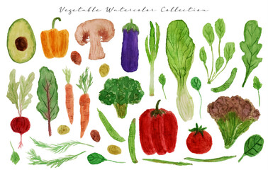 set of vegetables