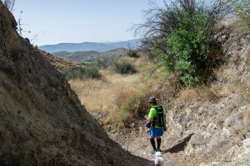 Obraz premium hiker walking with a small white Maltese dog on a path in the Alpujarra of Yegen along the path called Gerald Brenan with mountains in the background and feather grasses