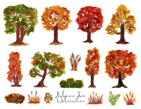 set of autumn trees