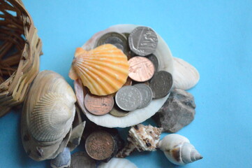 seashells on the sand