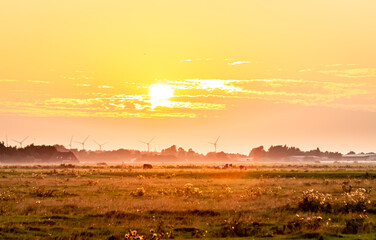 Obraz na płótnie Canvas Sonnenuntergang über dem Land