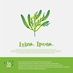 plant illustration design template, suitable for beauty and agriculture brands
