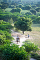 Myanmar (ex Birmanie). Bagan, Mandalay region. Horse-drawn carriage tourists in the plain of Bagan