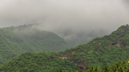 Green Landscape in salalah, oman