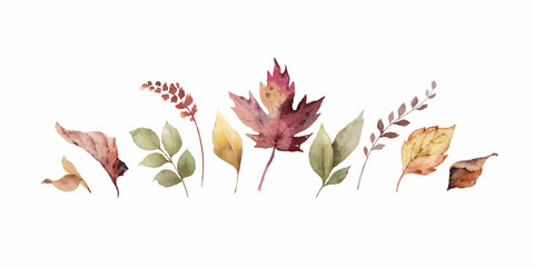 Watercolor vector banner with fall leaves and branches isolated on a white background.