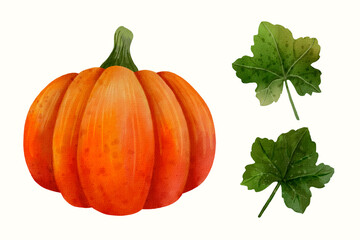 set of pumpkins and leaves hand drawn with watercolor paints isolated on white background. decoration vegetables elements for autumn holidays