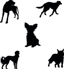 Dogs silhouette, vector icons, vector illustration. vectors.