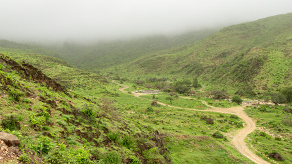 Green Landscape in salalah, oman