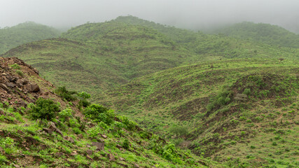 Green Landscape in salalah, oman
