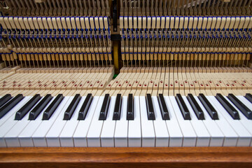 View of piano without a cover, piano keyboard, piano inside interior, keys and hummers