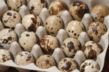 Quail eggs in a cardboard stand