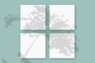 Natural light casts shadows from the plant on 4 square sheets of white paper lying on a green textured background. Mockup
