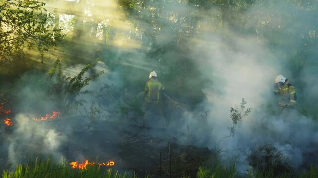 wildland firefighters, wildfire suppression, firefighters working outdoor, wild fire burning. environment, ecology, earth.