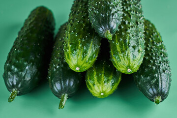 Set of fresh whole cucumbers on a green background, food pattern. Garden cucumber wallpaper backdrop design