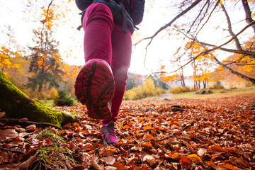 The woman hiker steps on the camera in the autumn forest