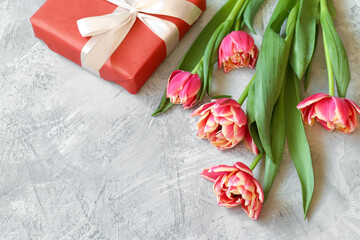 Fresh pink tulips with presents, place for text
