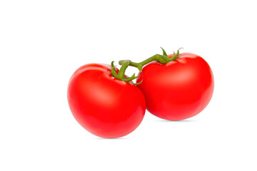 On a branch, two ripe tomatoes on a white background, isolate of red tomatoes