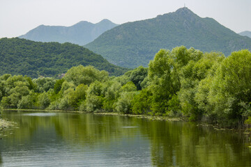 Fototapeta na wymiar Summer view on the picturesque river. Beautiful, green and lush shore. Trees and plants near the water. Landscape on the natural park. Mountains and blue sky on the background.