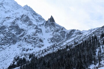 Mnich zimą w górach Tatrach. 