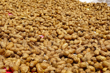 Buckwheat. Fresh buckwheat. Dry buckwheat background