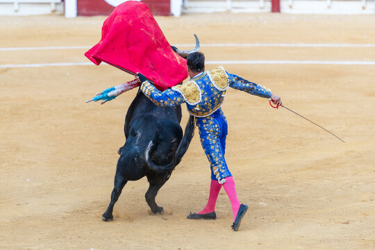 Brave bullfighter and bull of sandy arena