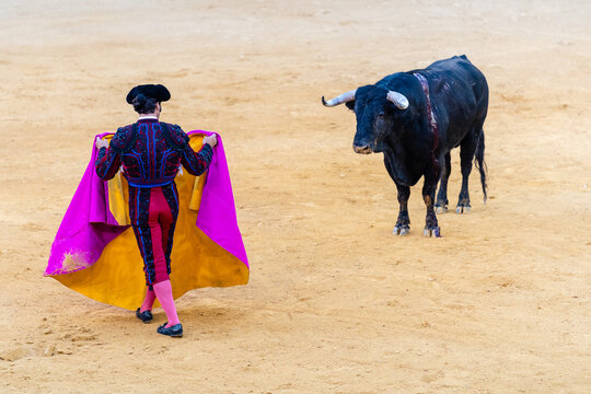Brave bullfighter and bull of sandy arena