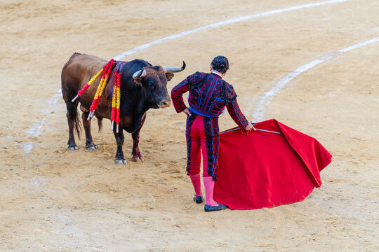 Brave bullfighter and bull of sandy arena