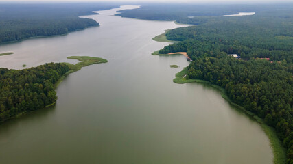 Aerial drone photo of green tree crones growing in lake shore. Nature landscape. Top view of a forest lake. Travel concept.
