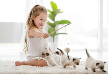 Girl with ragdoll kittens © tan4ikk