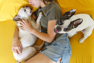 happy woman with dogs in bed. Top view of unrecognizable woman hugging couple of french bulldogs at home.