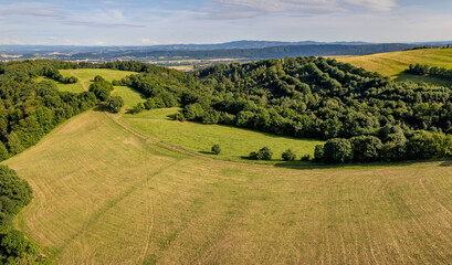 landscape of meadows and trees top view