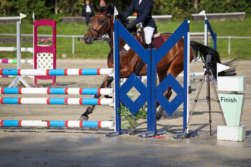 Show jumping horse with rider in the tournament shortly before the jump on the obstacle, sharpness...