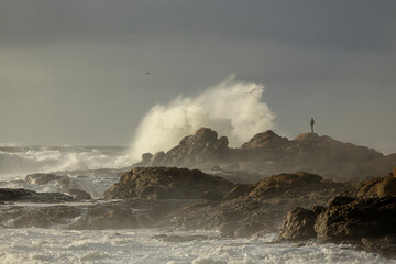 Stormy rocky coast