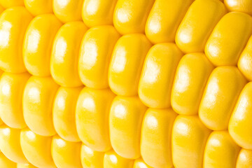 corn texture background. Corn grains close up