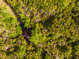 Drop down view of river runing through forest.