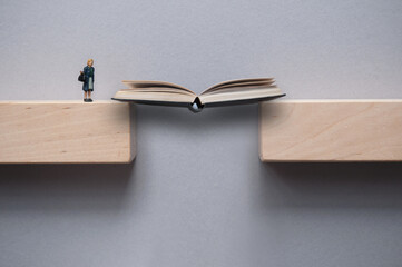 Education bridge, acquiring academic knowledge
