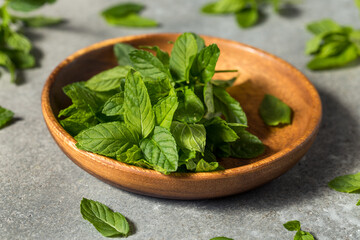 Raw Green Organic Mint Herbs