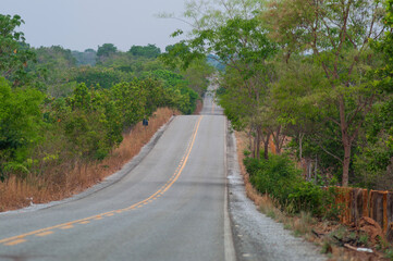 road in the cerrado