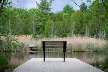 Lonely bench near the lake