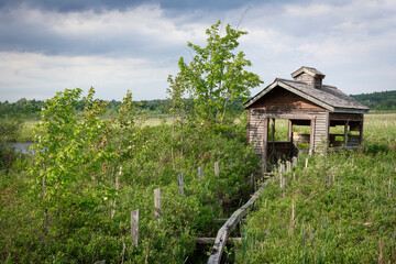 Lonely place on the forest