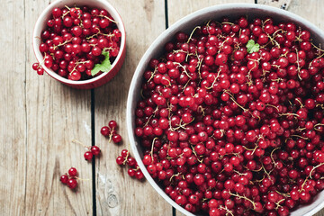 Red currants in a bowl.