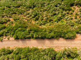 Drop down view of dirt road running through lush vegetation.