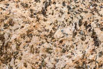 Stone background, cross section ,closeup