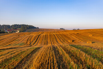 Fototapeta premium Large mown agricultural wheat field with bales of straw on the ground at sunrise. Village houses stand at the edge of the field.