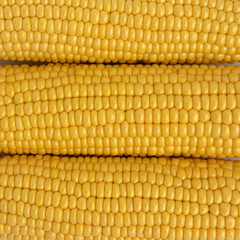 background of peeled yellow raw corn cobs