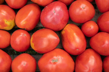 background of whole tomatoes, useful fresh vegetables
