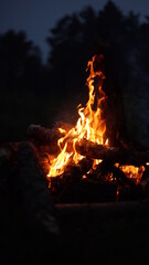 fire in the fireplace