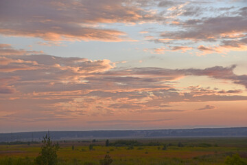 Fototapeta premium Sunset horizon with red clouds in the summer in the field